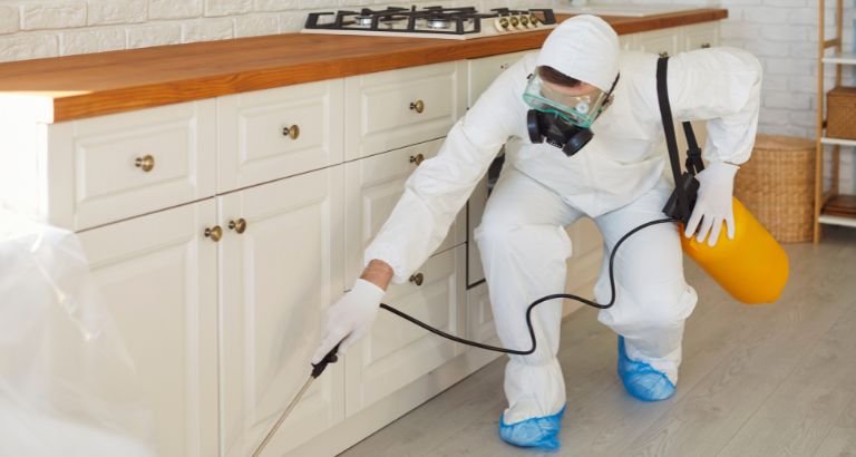 مكافحة حشرات بالرياض